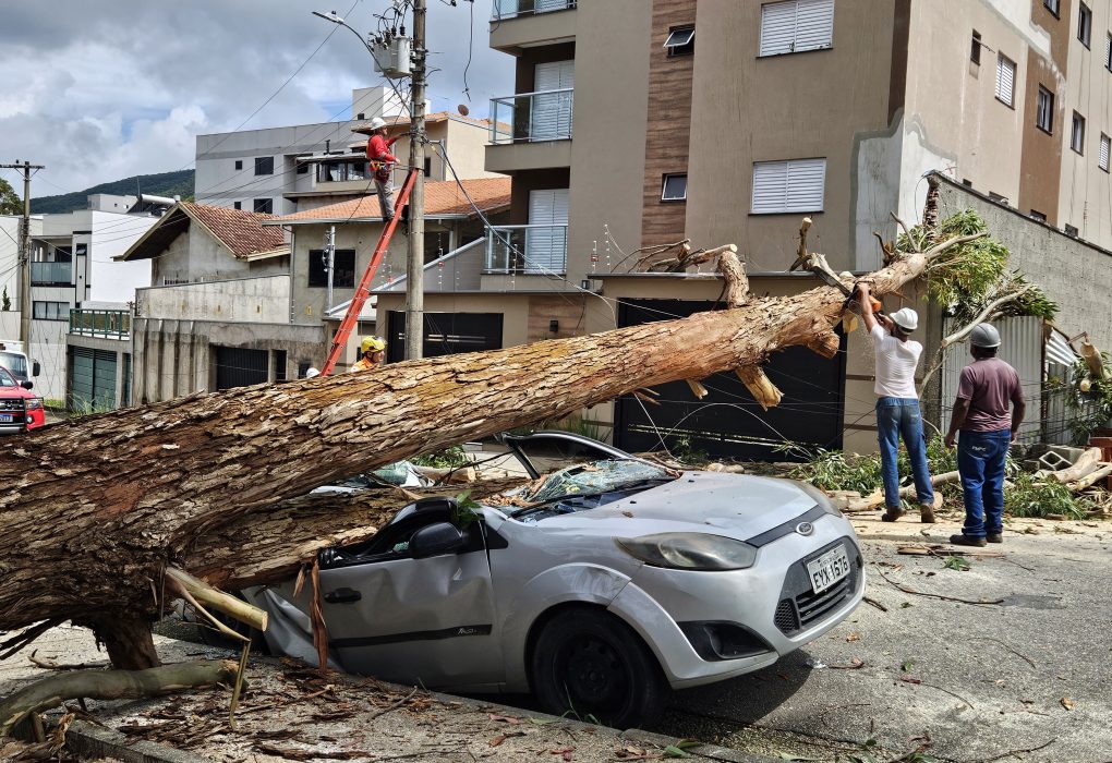 arvore-cai-sobre-carro-e-deixa-veiculo-destruido-em-pocos-de-caldas;-veja-fotos